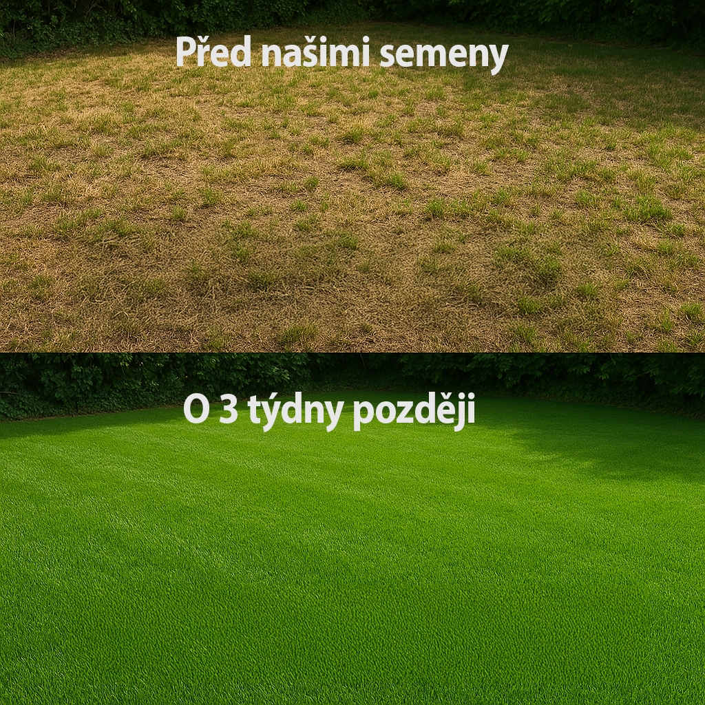 8 + 4 Express Grass Professionnel