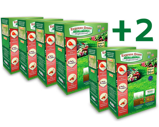 4 + 2 Express Grass Professionnel